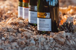 LA PROPERA EDICIÓ DEL CAVA MEETING PRESENTARÀ MÉS DE 200 CAVES DE GUARDA SUPERIOR DE FINS A 65 CELLERS