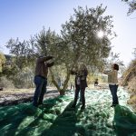 LA CUINA DEL PAISATGE DEL PRIORAT