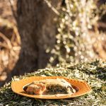 Truita amb suc del Priorat